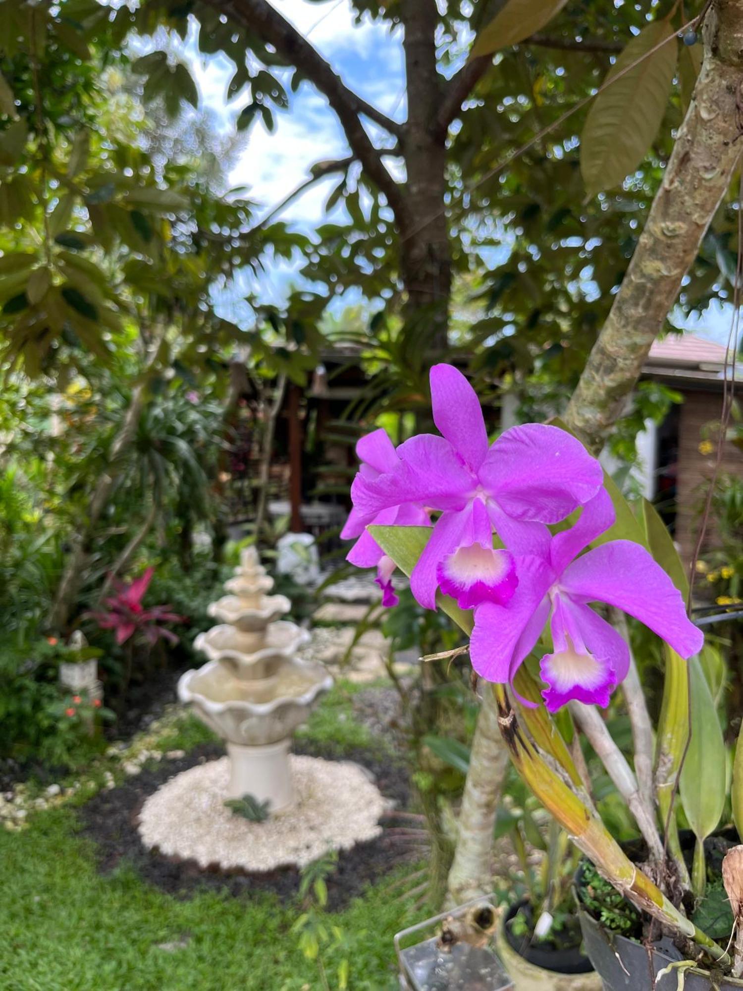 Villa Padi Tjangkringen Extérieur photo